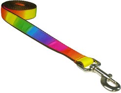 Sassy Dog Wear Rainbow Dog Leash, Large, Rainbow