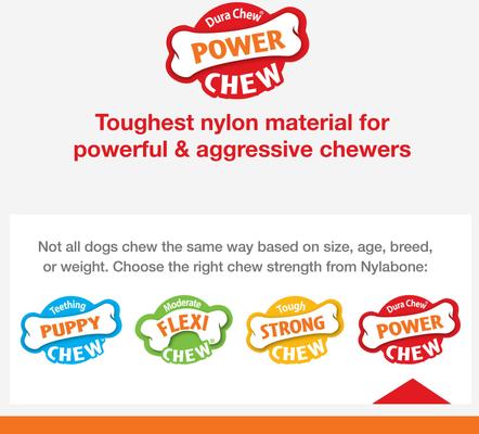 Show full view: Nylabone Power Chew Pretzel Dog Toy Bacon & Peanut Butter, X-Large/Souper slide 9 of 11