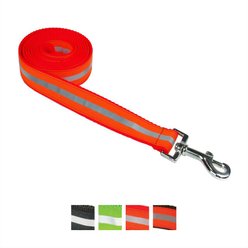 Sassy Dog Wear Reflective Dog Leash, Neon Orange, Medium