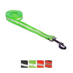 Sassy Dog Wear Reflective Dog Leash, Green, Large