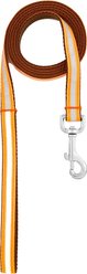 Sassy Dog Wear Reflective Dog Leash, Orange, Large slide 2 of 4