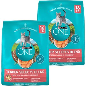 Purina ONE Tender Selects Blend with Real Salmon Dry Cat Food, 32-lb bag
