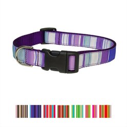 Sassy Dog Wear Multi Stripe Dog Collar, Purple, Large 