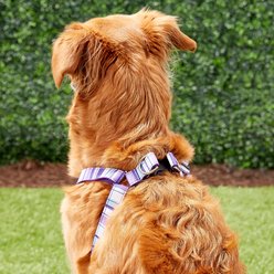 Sassy Dog Wear Multi Stripe Dog Harness, Purple, Large slide 2 of 4