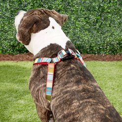 Sassy Dog Wear Multi Stripe Dog Harness, Red, Large  slide 2 of 4