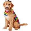 Rubie's Costume Company St. Patrick's Day Dog & Cat Shamrock Boppers