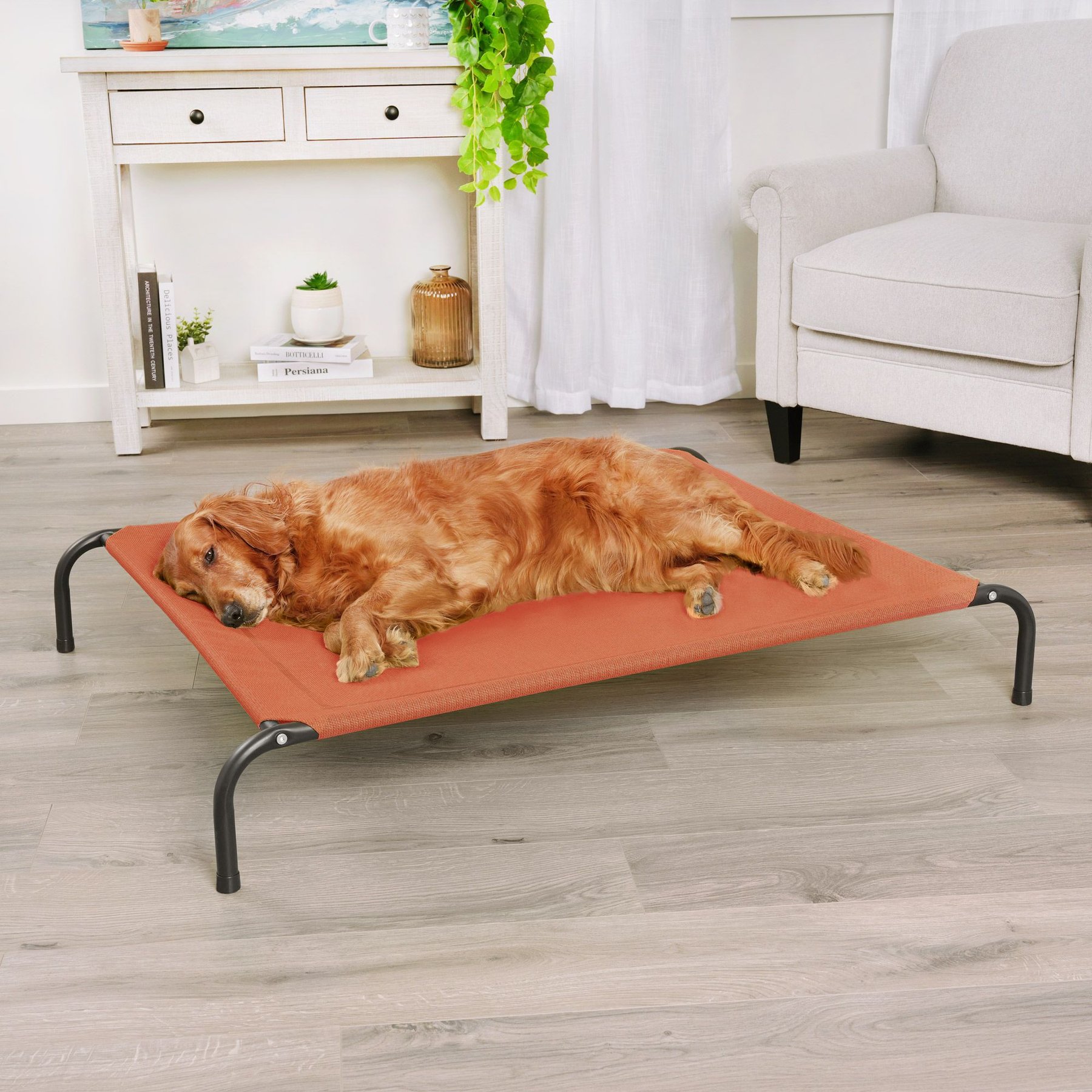 Chewy elevated fashion pet bed