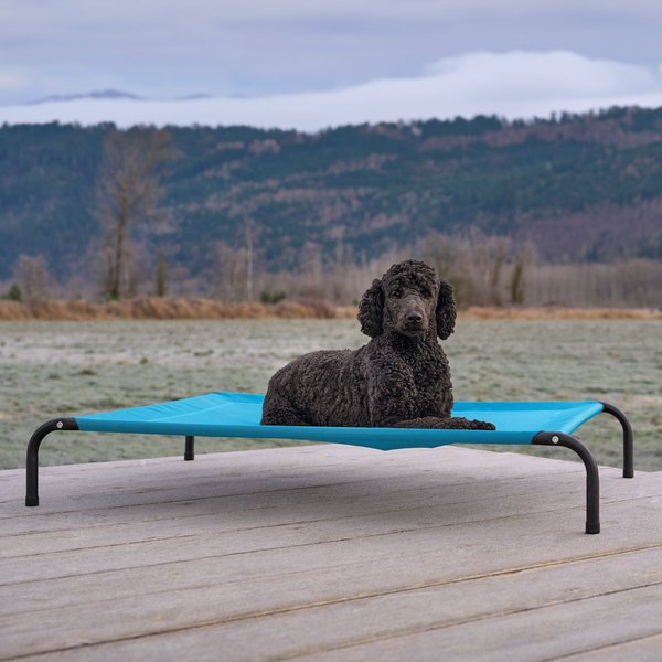 HDP Padded Napper Elevated Dog Bed, Blue, Medium