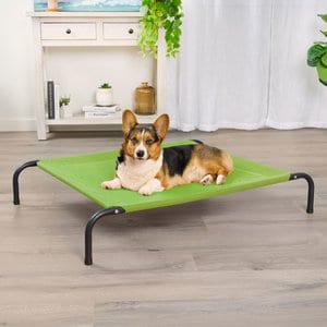 FurHaven Elevated Dog & Cat Bed, Gecko Green, Medium