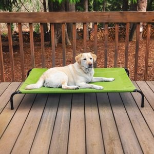FurHaven Elevated Dog & Cat Bed, Gecko Green, X-Large