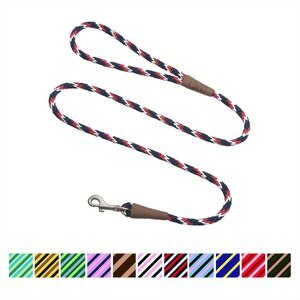 Mendota Products Small Snap Striped Rope Dog Leash, Pride, 4-ft long, 3/8-in wide