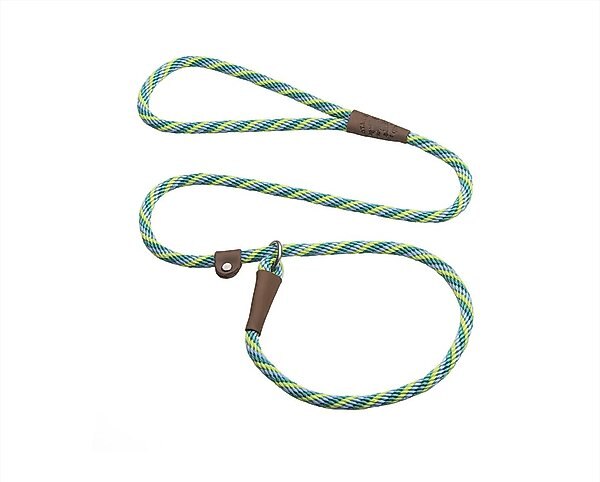Mendota Products Small Slip Striped Rope Dog Leash, Seafoam, 4-ft long, 3/8-in wide slide 1 of 5
