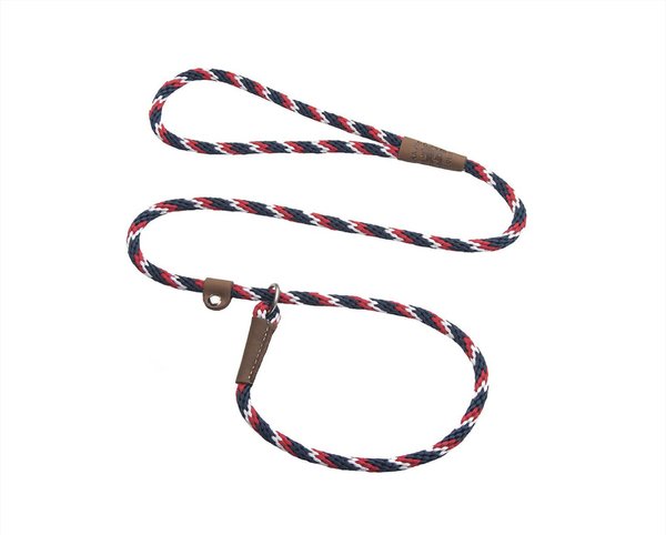 Mendota Products Small Slip Striped Rope Dog Leash, Pride, 6-ft long, 3/8-in wide slide 1 of 5