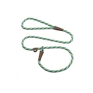 Mendota Products Small Slip Striped Rope Dog Leash, Seafoam, 6-ft long, 3/8-in wide
