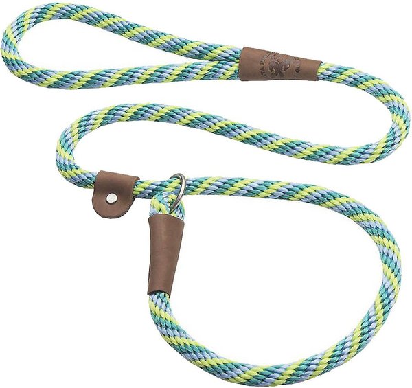 Mendota Products Large Slip Striped Rope Dog Leash, Seafoam, 4-ft long, 1/2-in wide slide 1 of 6