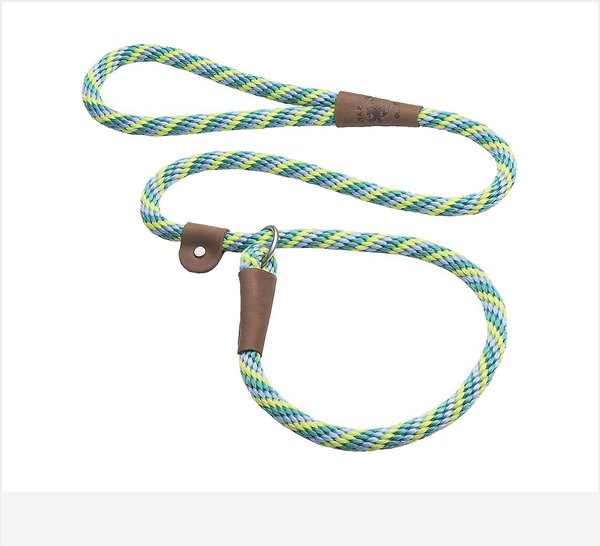 Mendota Products Large Slip Striped Rope Dog Leash, Seafoam, 6-ft long, 1/2-in wide slide 1 of 6