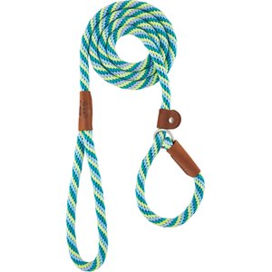 Mendota Products Large Slip Striped Rope Dog Leash, Seafoam, 6-ft long, 1/2-in wide