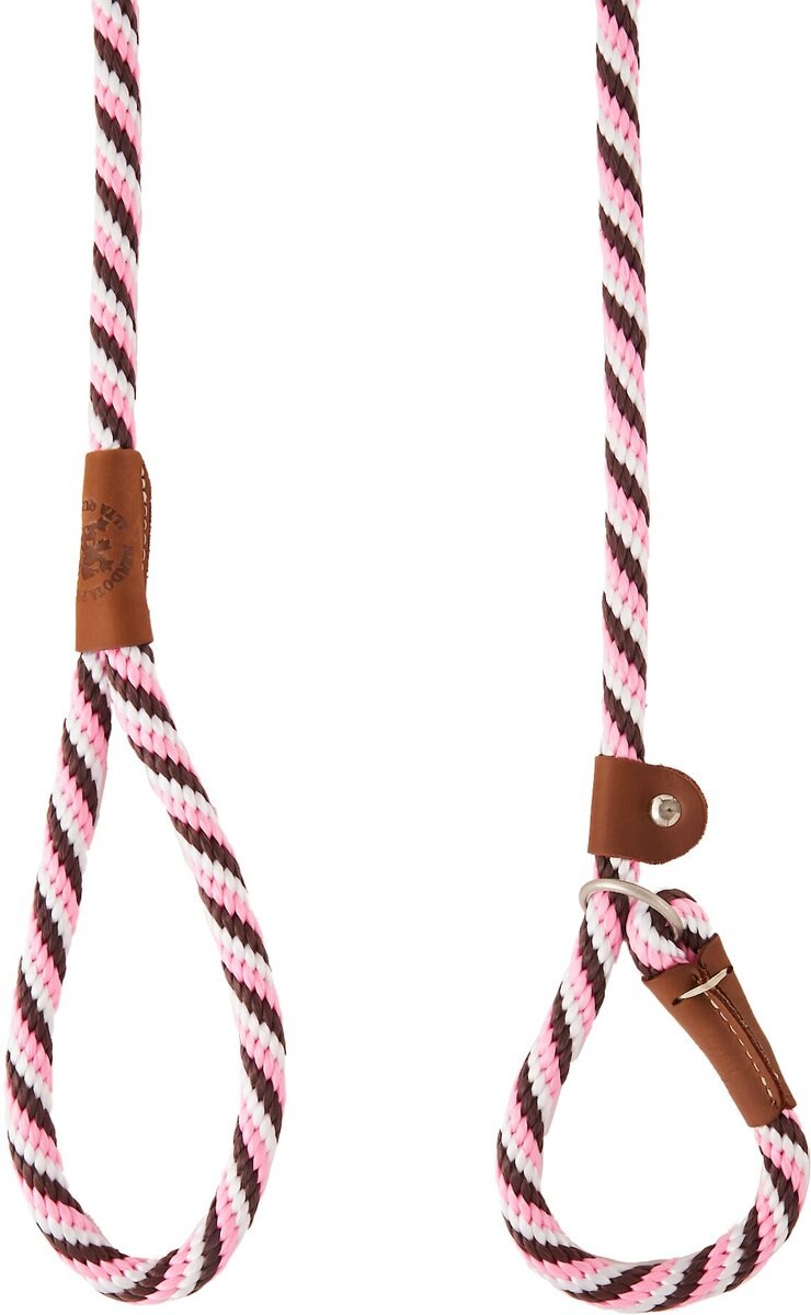 MENDOTA PRODUCTS Large Slip Striped Rope Dog Leash, Pink Chocolate, 6 ...