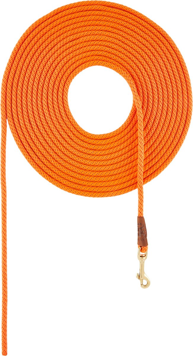 Mendota 2024 check cord