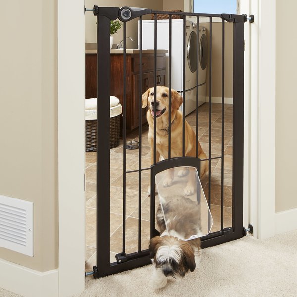 Chewy pet shop doors