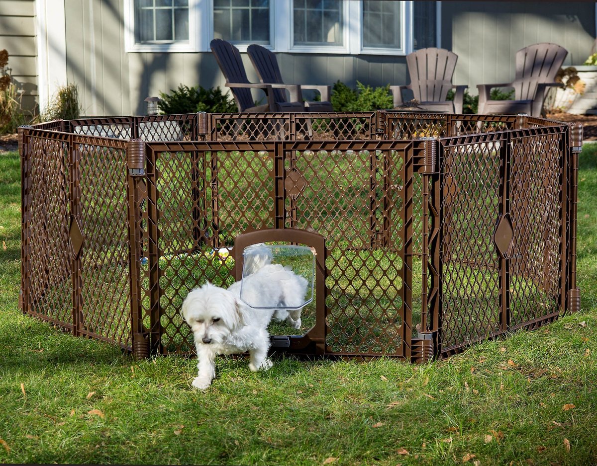 Mypet petyard passage puppy pen best sale