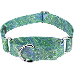 Country Brook Design Paisley Polyester Martingale Dog Collar, Green, Small: 11 to 15-in neck, 5/8-in wide