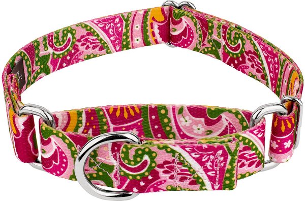 Country Brook Design Paisley Polyester Martingale Dog Collar, Pink, Small: 11 to 15-in neck, 5/8-in wide slide 1 of 7