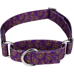 Country Brook Design Paisley Polyester Martingale Dog Collar, Purple, Small: 11 to 15-in neck, 5/8-in wide