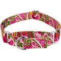 Country Brook Design Paisley Polyester Martingale Dog Collar, Pink, Medium: 15 to 21-in neck, 1-in wide