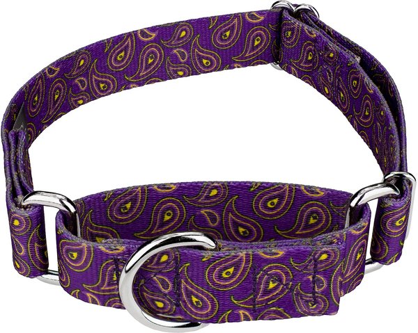 Country Brook Design Paisley Polyester Martingale Dog Collar, Purple, Medium: 15 to 21-in neck, 1-in wide slide 1 of 7