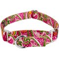 Country Brook Design Paisley Polyester Martingale Dog Collar, Pink, Large: 18 to 26-in neck, 1-in wide
