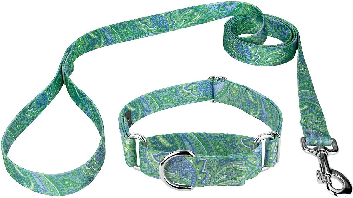 Country Brook Design Paisley Polyester Martingale Dog Collar & Leash