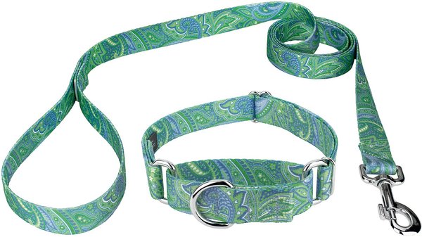 Country Brook Design Paisley Polyester Martingale Dog Collar & Leash, Green, Medium: 15 to 21-in neck, 1-in wide slide 1 of 8