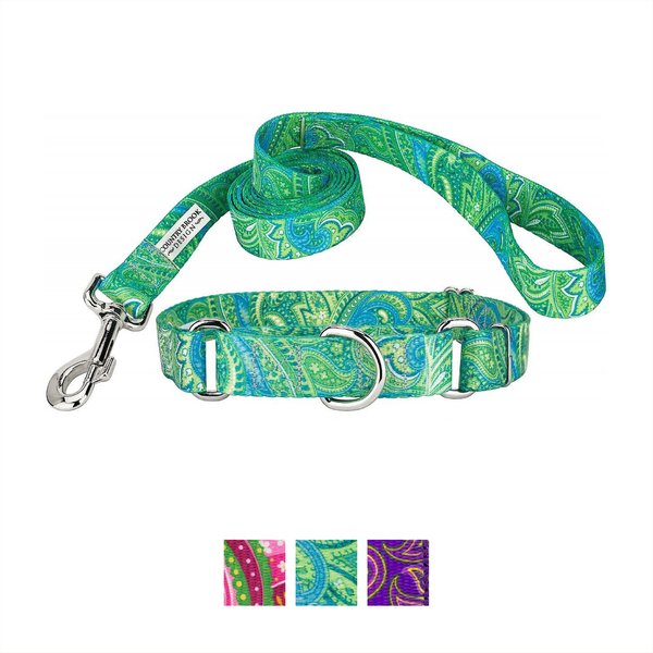 Country Brook Design Paisley Polyester Martingale Dog Collar & Leash, Green, Large: 18 to 26-in neck, 1-in wide slide 1 of 8