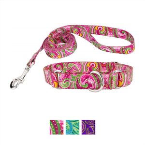 Country Brook Design Paisley Polyester Martingale Dog Collar & Leash, Pink, Small: 11 to 15-in neck, 5/8-in wide