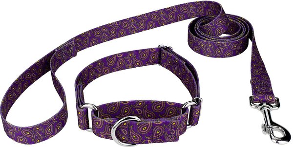 Country Brook Design Paisley Polyester Martingale Dog Collar & Leash, Purple, Medium: 15 to 21-in neck, 1-in wide slide 1 of 8