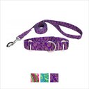 Country Brook Design Paisley Polyester Martingale Dog Collar & Leash, Purple, Large: 18 to 26-in neck, 1-in wide