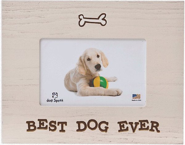 Dog Speak "Best Dog Ever" Dog Picture Frame, 4 x 6 in slide 1 of 1