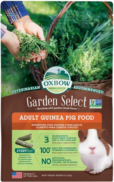 Oxbow Garden Select Adult Guinea Pig Food, 4-lb bag slide 1 of 9
