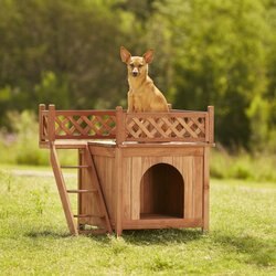 Merry Products Room with a View Wood Dog & Cat House