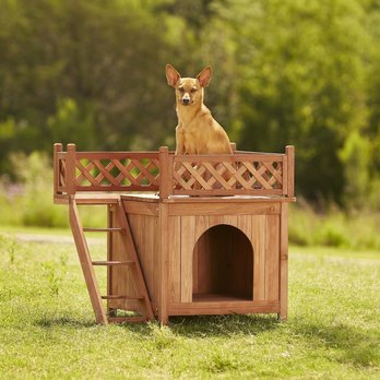 Dog Houses: Small to Large, Low Prices (Free Shipping) | Chewy