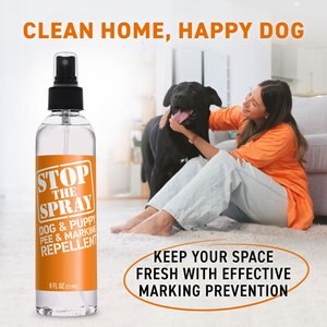 10 Best Dog Repellents 2024 According to Reviews Chewy