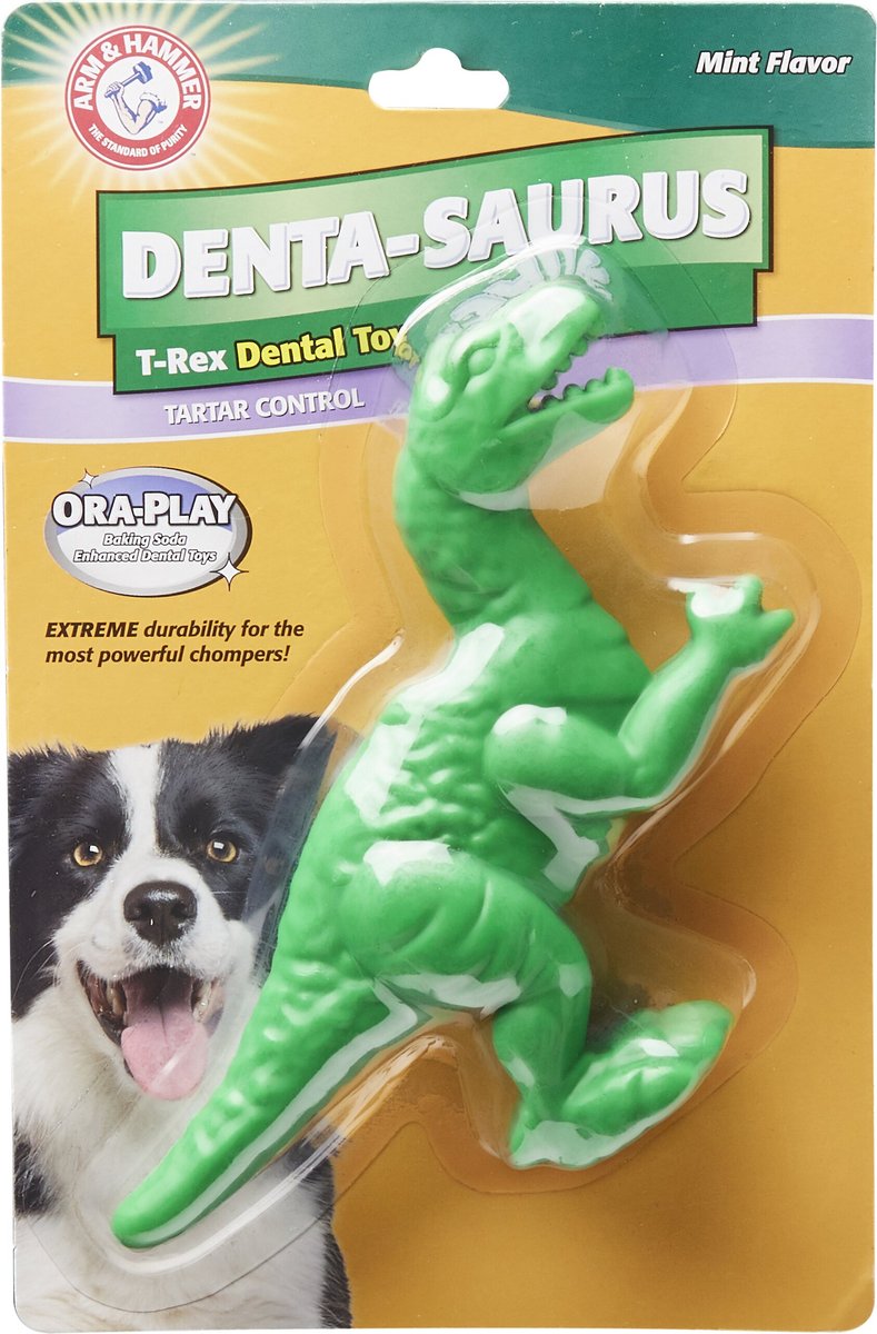 Arm & Hammer Dental Ora Play Nubbie Bone Tough Dog Chew Toy