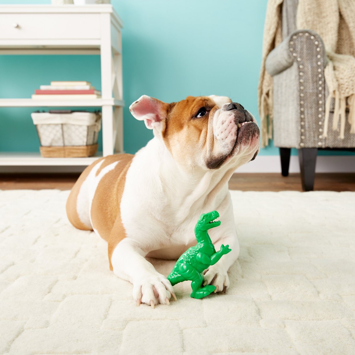 Arm & Hammer Dental Ora Play Denta-Saurus Green Apple Flavor Dental Dog Toy, Triceratops