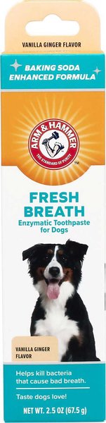 ARM & HAMMER PRODUCTS Fresh Breath Vanilla-Ginger Flavored Enzymatic Dog Toothpaste, 2.5-oz tube slide 1 of 7