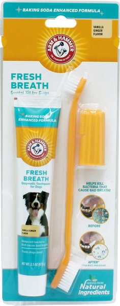 Arm & Hammer Fresh Breath Vanilla-Ginger Flavored Dog Dental Kit, 2.5-oz tube slide 1 of 5