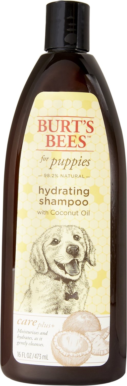Frastødende tyktflydende ekspertise BURT'S BEES Care Plus+ Hydrating Coconut Oil Puppy Shampoo, 16-oz bottle -  Chewy.com