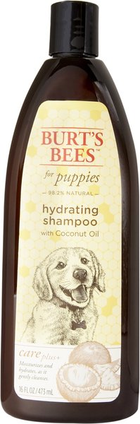 Burt's Bees for Dogs Itch Soothing Shampoo, 16 fl.oz.