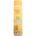 Burt's Bees Kitten Shampoo, 10-oz bottle