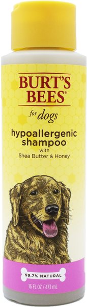 Burt's Bees Hypoallergenic Dog Shampoo, 16-oz bottle slide 1 of 8